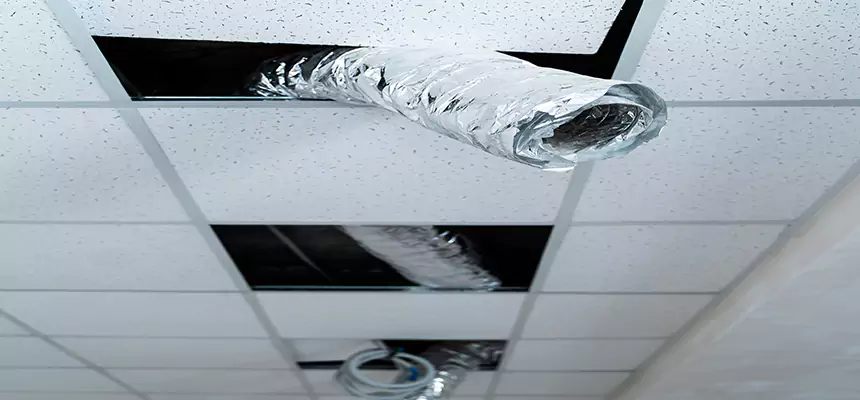 Our Air Duct Pet Hair Removal Services in Irvine, CA