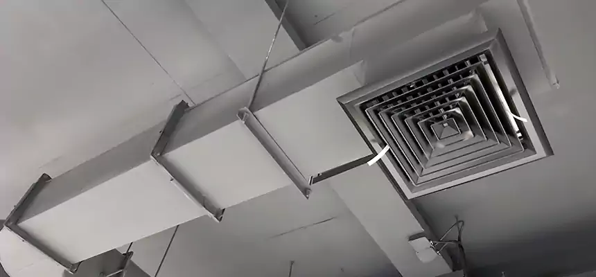 Our Pest Removal From Ducts Services in Irvine, CA