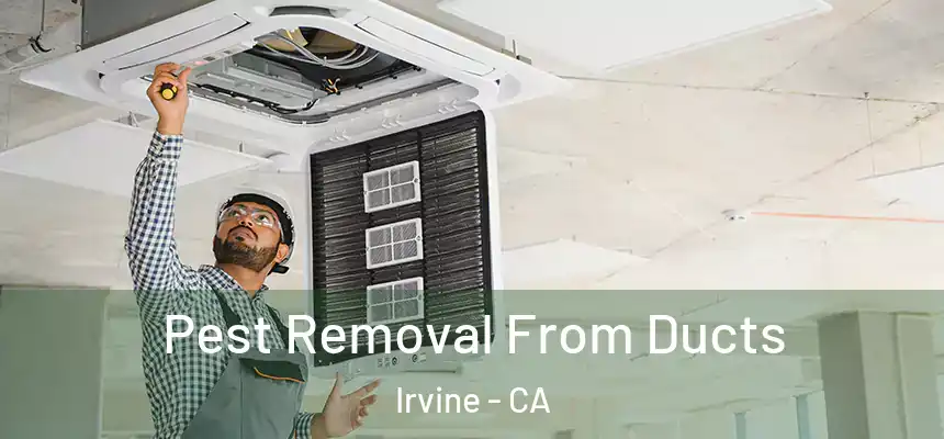 Pest Removal From Ducts Irvine - CA