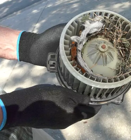 About Air Duct Rat Removal in Irvine, CA