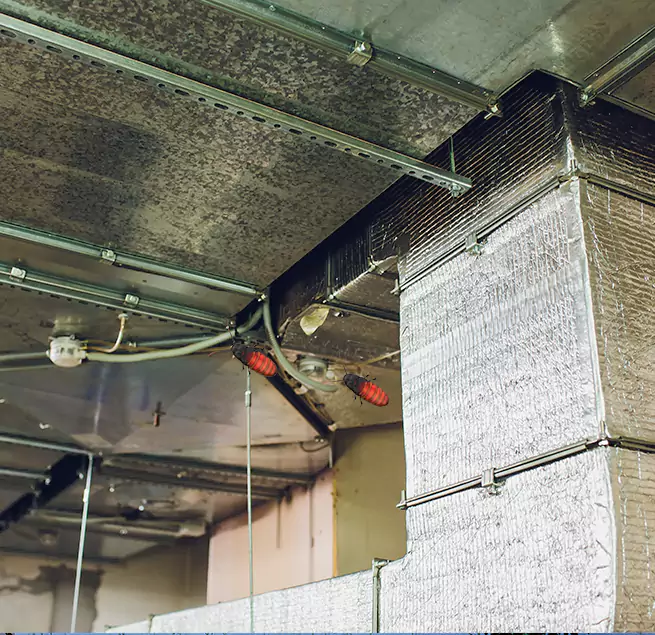 Why Homeowners & Businesses Trust Us in Irvine, CA?