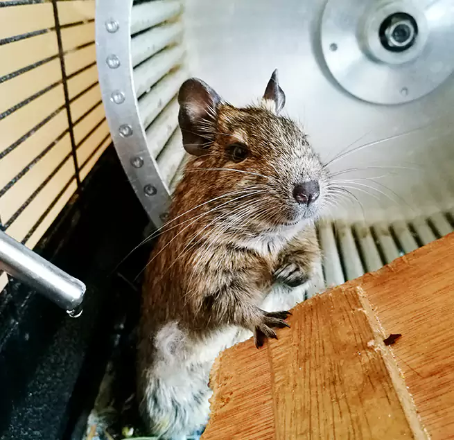 Why Homeowners & Businesses Trust Us Irvine, CA?