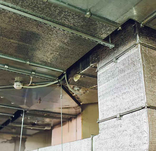 Why Homeowners & Businesses Trust Us in Irvine, CA?